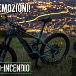 assicurazione furto web